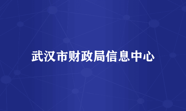 武汉市财政局信息中心