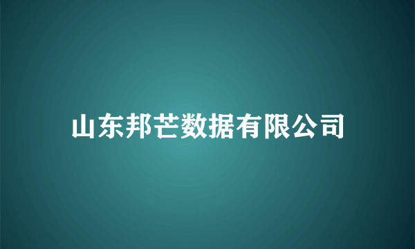 山东邦芒数据有限公司