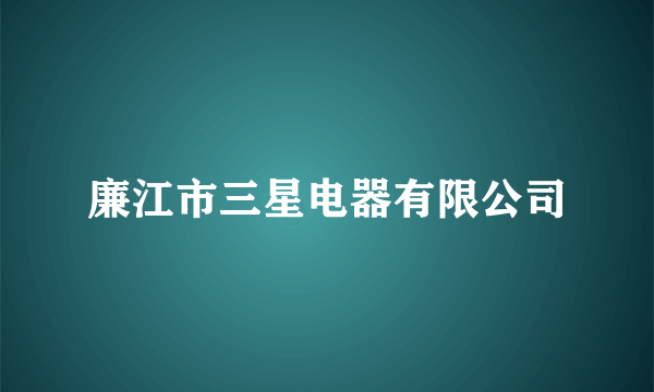 廉江市三星电器有限公司