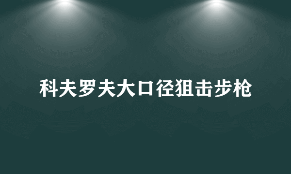 科夫罗夫大口径狙击步枪
