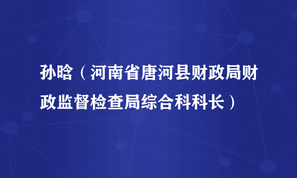 孙晗（河南省唐河县财政局财政监督检查局综合科科长）