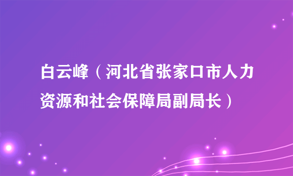 白云峰（河北省张家口市人力资源和社会保障局副局长）