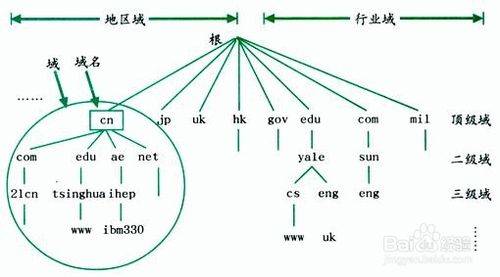域名级别