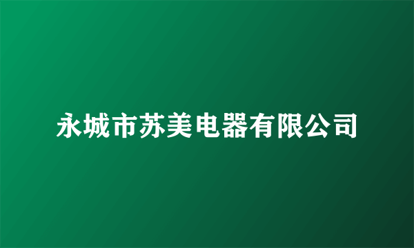永城市苏美电器有限公司
