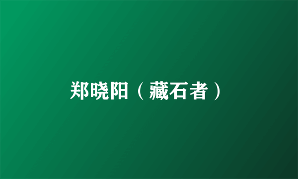 郑晓阳（藏石者）