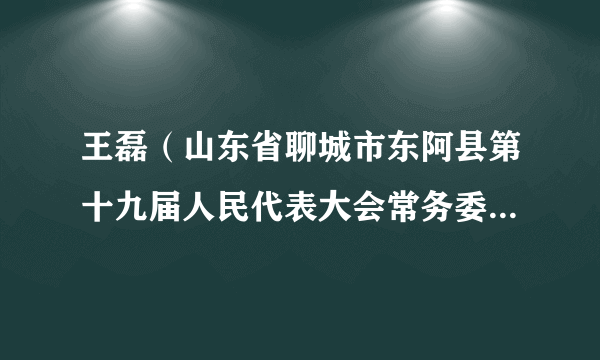王磊（山东省聊城市东阿县第十九届人民代表大会常务委员会原委员）