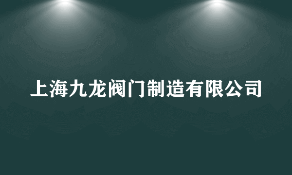 上海九龙阀门制造有限公司