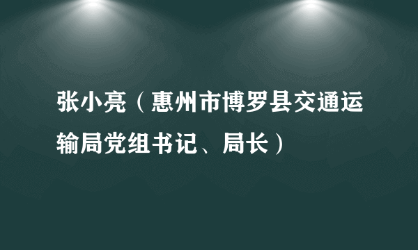 张小亮（惠州市博罗县交通运输局党组书记、局长）