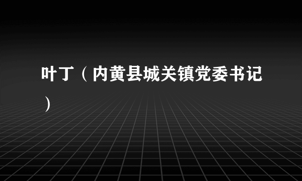 叶丁（内黄县城关镇党委书记）