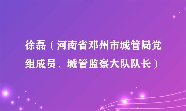 徐磊（河南省邓州市城管局党组成员、城管监察大队队长）