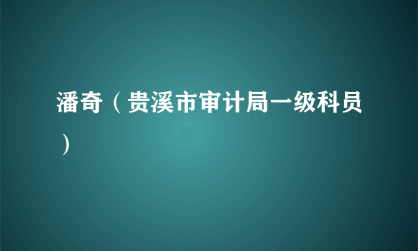 潘奇（贵溪市审计局一级科员）