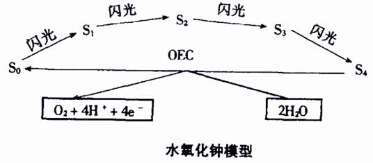 水氧化钟