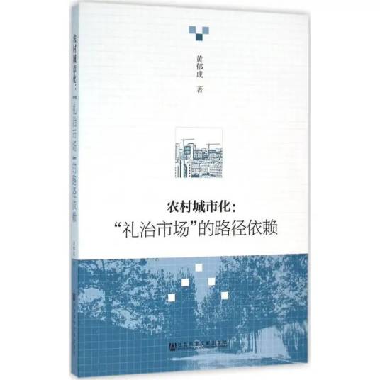 农村城市化（2016年社会科学文献出版社出版的图书）