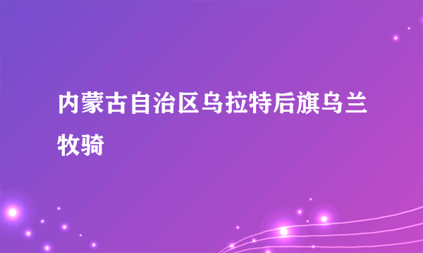 内蒙古自治区乌拉特后旗乌兰牧骑
