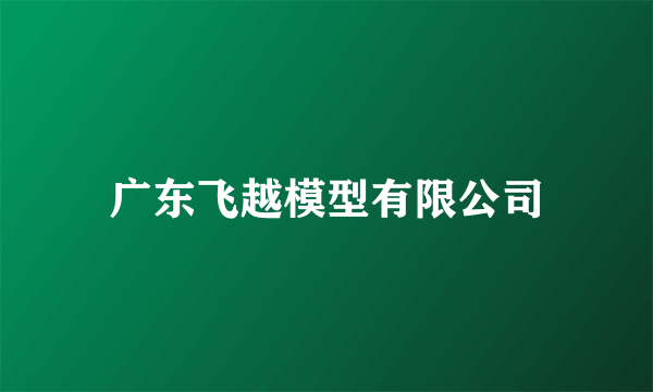 广东飞越模型有限公司