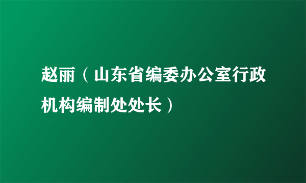 赵丽（山东省编委办公室行政机构编制处处长）