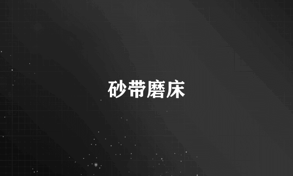 砂带磨床