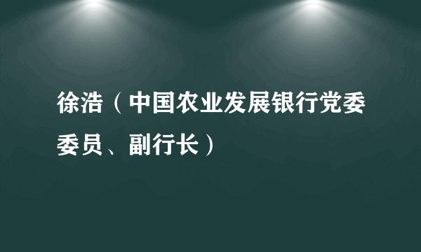徐浩（中国农业发展银行党委委员、副行长）
