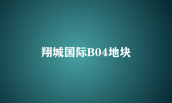 翔城国际B04地块