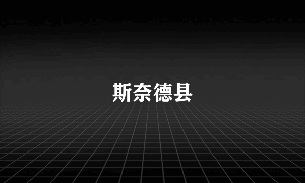 斯奈德县