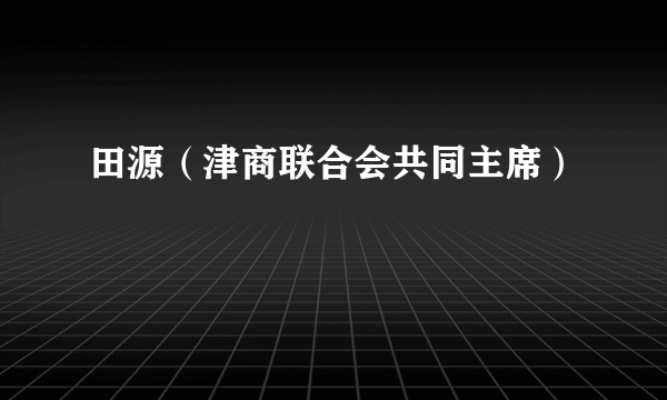 田源（津商联合会共同主席）
