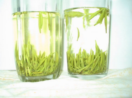 绿茶茶艺