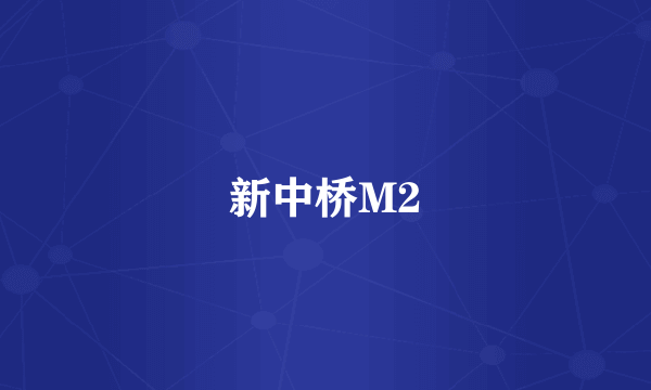 新中桥M2