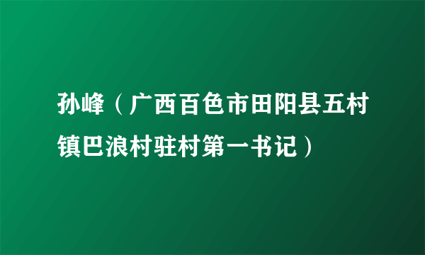 孙峰（广西百色市田阳县五村镇巴浪村驻村第一书记）