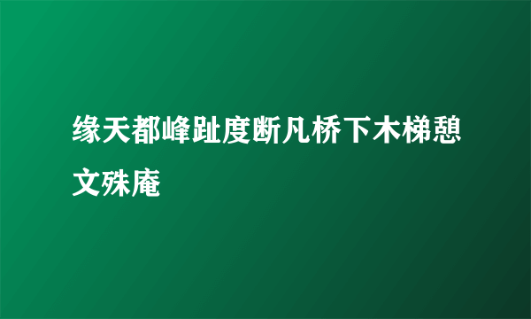 缘天都峰趾度断凡桥下木梯憩文殊庵