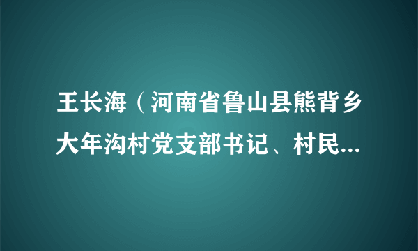 王长海（河南省鲁山县熊背乡大年沟村党支部书记、村民委员会主任）