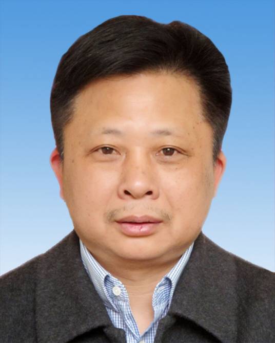 陈劲（湖南省益阳市赫山区人大常委会党组成员、副主任）