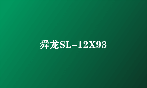舜龙SL-12X93