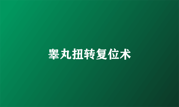 睾丸扭转复位术