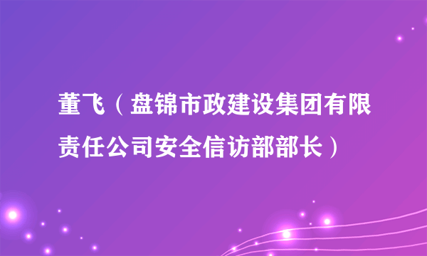 董飞（盘锦市政建设集团有限责任公司安全信访部部长）