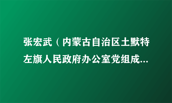 张宏武（内蒙古自治区土默特左旗人民政府办公室党组成员、副主任）
