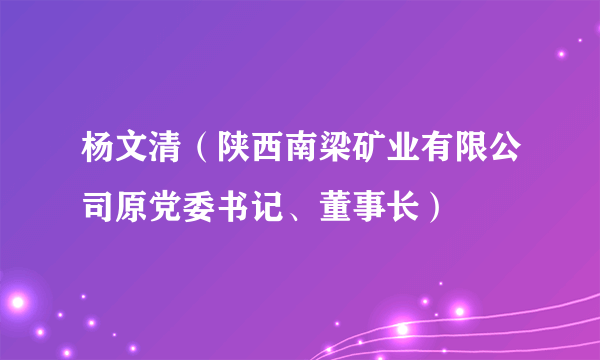 杨文清（陕西南梁矿业有限公司原党委书记、董事长）
