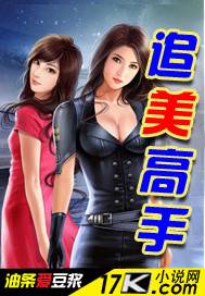 追美高手（油条爱豆浆著网络小说）