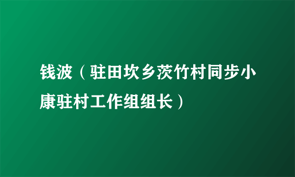 钱波（驻田坎乡茨竹村同步小康驻村工作组组长）