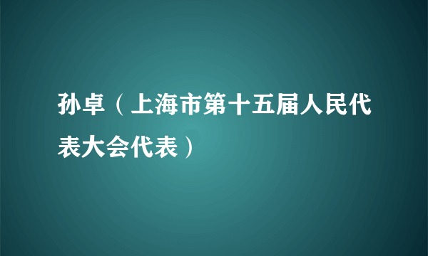 孙卓（上海市第十五届人民代表大会代表）
