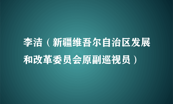 李洁（新疆维吾尔自治区发展和改革委员会原副巡视员）