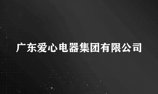 广东爱心电器集团有限公司