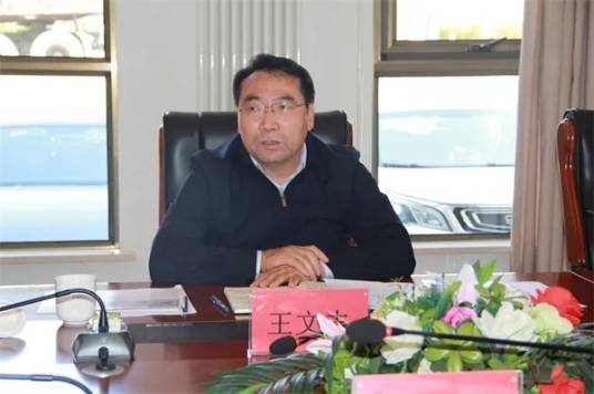 王文志（内蒙古自治区本级政府投资非经营性项目代建中心主任）