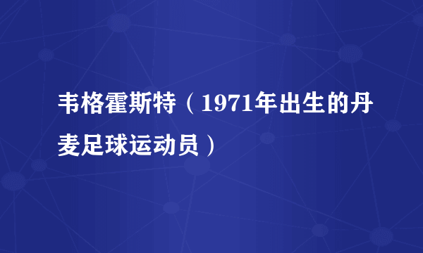 韦格霍斯特（1971年出生的丹麦足球运动员）
