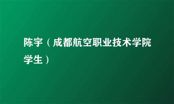 陈宇（成都航空职业技术学院学生）