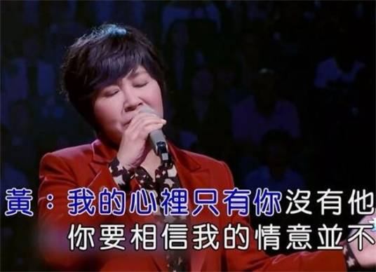我的心里只有你没有他（黄小琥演唱歌曲）