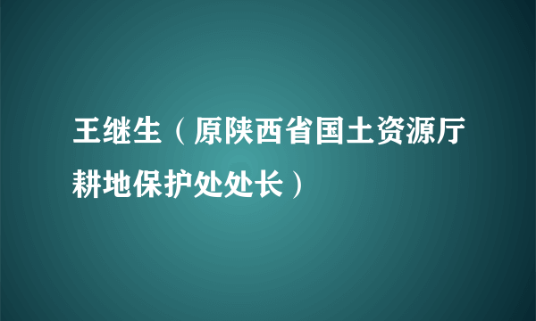 王继生（原陕西省国土资源厅耕地保护处处长）
