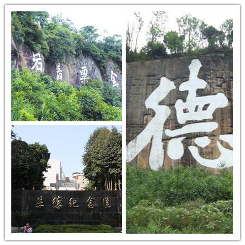 金城镇（四川省南充市仪陇县下辖镇）