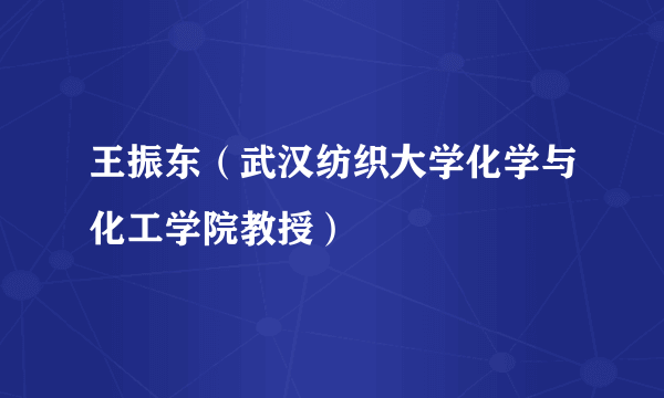 王振东（武汉纺织大学化学与化工学院教授）