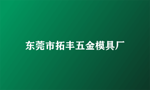 东莞市拓丰五金模具厂