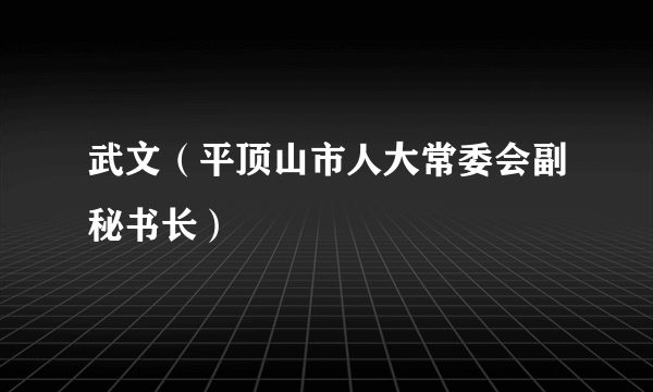 武文（平顶山市人大常委会副秘书长）